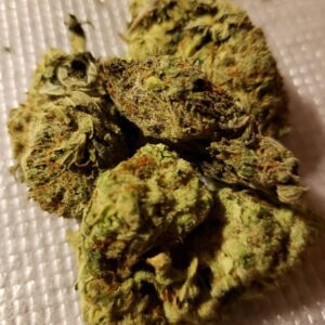 Buy Alien OG Australia Alien OG Cannabis Flower Premium Alien OG Buds Alien OG Australia Buy Alien OG Online Indoor Alien OG Flower Top Shelf Alien OG Premium Cannabis Flower Australia