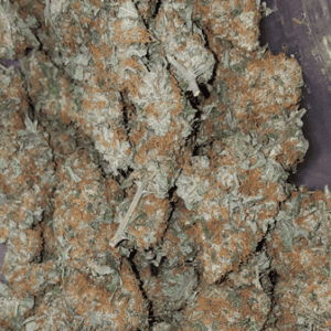 Buy Amnesia Haze Australia Premium Cannabis Flower Premium Amnesia Haze Buds Amnesia Haze Cannabis Australia Buy Amnesia Haze Online Australia High Quality Amnesia Haze Flowe