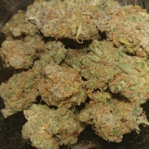 Buy Ace of Spades Australia Ace of Spades Premium Cannabis Flower Premium Ace of Spades Buds Buy Ace of Spades Online Australia Ace of Spades Cannabis Flower Australia Indoor-Grown Ace of Spades Premium Cannabis Australia Fresh Ace of Spades Buds