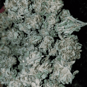 Buy AK-47 Australia Premium Cannabis Flower AK-47 Cannabis Flower Australia Premium AK-47 Buds Buy AK-47 Online Australia High Quality AK-47 Cannabis