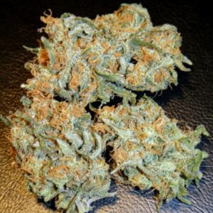Buy Aurora Indica Australia Aurora Indica Cannabis Flower Premium Aurora Indica Buds Aurora Indica Australia Buy Aurora Indica Online Indoor Aurora Indica Flower Top Shelf Aurora Indica Premium Cannabis Flower Australia