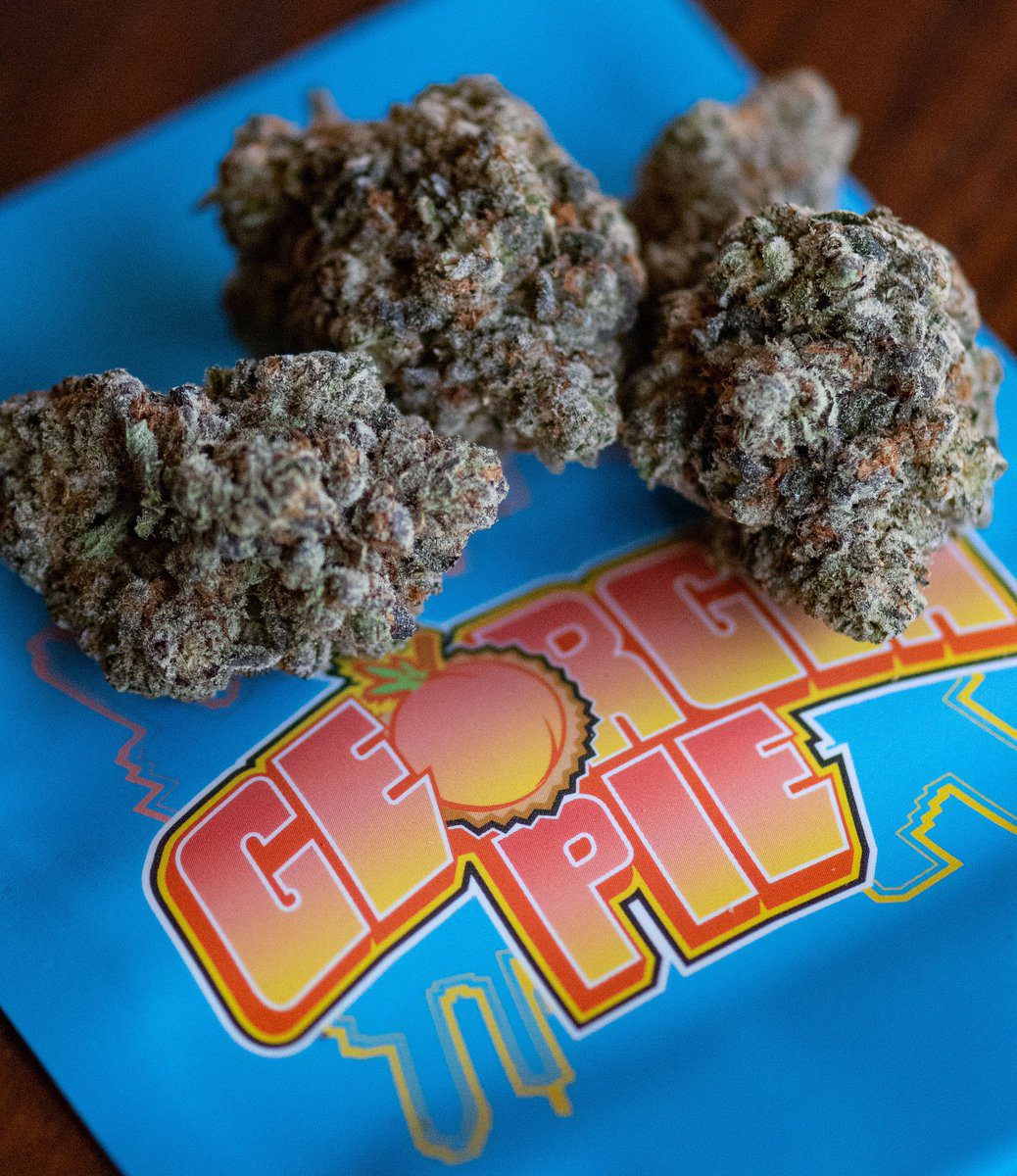 Buy Georgia Pie Cookies Australia Premium Cannabis Seeds Georgia Pie Cookies Seeds Australia Premium Georgia Pie Cookies Cannabis Seeds Buy Georgia Pie Cookies Seeds Online Australia Authentic Georgia Pie Cookies Genetics Premium Cannabis Seeds Australia