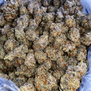 Buy Chemdawg Australia Chemdawg Cannabis Flower Premium Chemdawg Buds Chemdawg Australia Buy Chemdawg Online Indoor Chemdawg Flower Top Shelf Chemdawg Premium Cannabis Flower Australia
