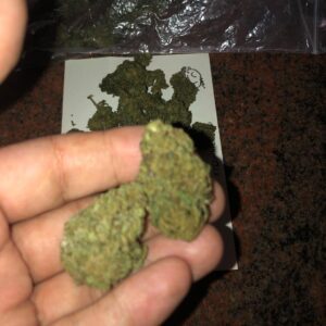 Buy Harlequin Australia Premium Cannabis Flower Premium Harlequin Buds Harlequin Cannabis Australia Buy Harlequin Online Australia High Quality Harlequin Flower