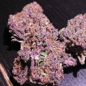 Buy Purple Haze Australia Premium Cannabis Flower Purple Haze Cannabis Flower Australia Premium Purple Haze Buds Buy Purple Haze Online Australia High Quality Purple Haze Flower