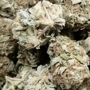 Buy Purple Lemon Haze Australia Premium Cannabis Flower Purple Lemon Haze Cannabis Flower Australia Premium Purple Lemon Haze Buds Buy Purple Lemon Haze Online Australia High Quality Purple Lemon Haze Flower
