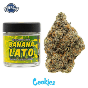 Buy Banana Lato Australia Premium Cannabis Flower Dense Frosty Tropical Buds
