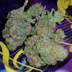 Buy Blue Dream Australia Premium Cannabis Flower Premium Blue Dream Buds Blue Dream Cannabis Australia Buy Blue Dream Online Australia High Quality Blue Dream Flower
