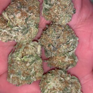 Buy Durban Poison Australia Premium Cannabis Flower Premium Durban Poison Buds Durban Poison Cannabis Australia Buy Durban Poison Online Australia High Quality Durban Poison Flower