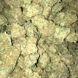 Buy Grand Daddy Purple Australia Grand Daddy Purple Cannabis Flower Premium Grand Daddy Purple Buds Grand Daddy Purple Australia Buy Grand Daddy Purple Online Indoor Grand Daddy Purple Flower Top Shelf Grand Daddy Purple Premium Cannabis Flower Australia