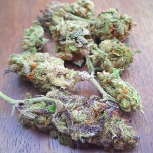 Buy Girl Scout Cookies Australia Premium Cannabis Flower Premium Girl Scout Cookies Buds GSC Cannabis Australia Buy Girl Scout Cookies Online Australia High Quality Girl Scout Cookies Flower