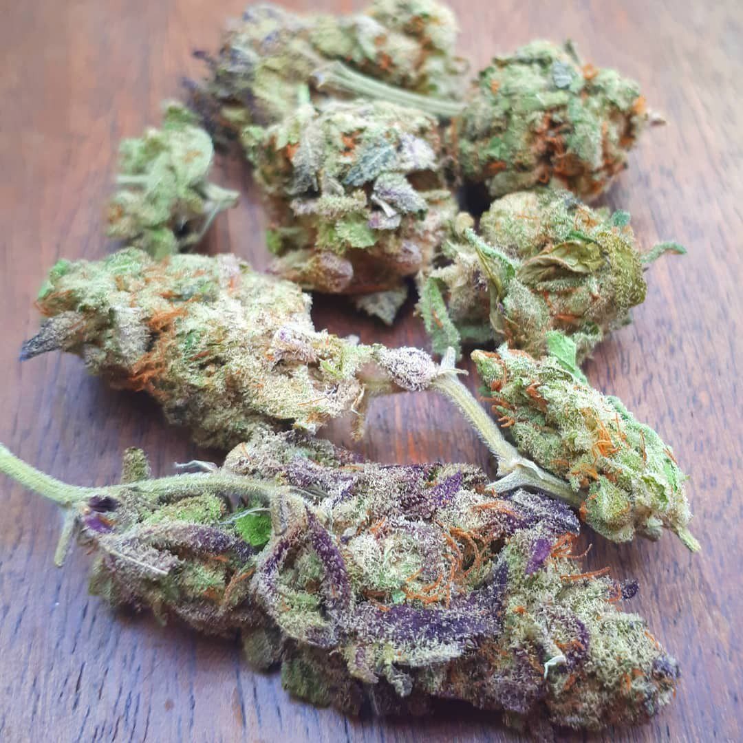 Buy Girl Scout Cookies Australia Premium Cannabis Flower Premium Girl Scout Cookies Buds GSC Cannabis Australia Buy Girl Scout Cookies Online Australia High Quality Girl Scout Cookies Flower