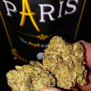 Buy Paris OG Australia Paris OG Cannabis Flower Premium Paris OG Buds Paris OG Australia Buy Paris OG Online Indoor Paris OG Flower Top Shelf Paris OG Premium Cannabis Flower Australia