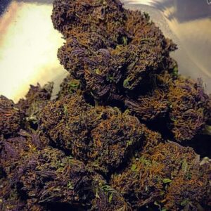 Buy Purple Kush Australia Purple Kush Cannabis Flower Australia Premium Purple Kush Buds Purple Kush Indoor Cannabis Buy Purple Kush Online Australia Top Shelf Purple Kush Flower Fresh Purple Kush Cannabis Buds Purple Kush Premium Flower Purple Kush Resin Rich Buds Purple Kush Dense Cannabis Flower Premium Cannabis Flower Australia Purple Kush Trichome Covered Buds Indoor Purple Kush Australia Trusted Cannabis Store Australia Buy Premium Cannabis Flower Australia Purple Kush Fresh Indoor Flower Top Shelf Cannabis Australia Purple Kush Flower Online Premium Purple Cannabis Buds Buy Cannabis Online Australia