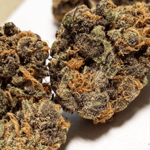 Buy Purple Diesel Australia Premium Cannabis Flower Purple Diesel Cannabis Flower Australia Premium Purple Diesel Buds Buy Purple Diesel Online Australia High Quality Purple Diesel Flower