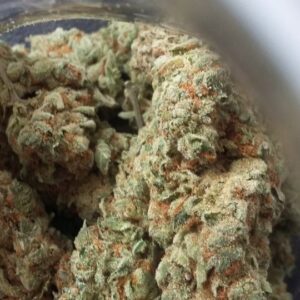 Buy Strawberry Banana Australia Strawberry Banana Cannabis Flower Premium Strawberry Banana Buds Strawberry Banana Australia Buy Strawberry Banana Online Indoor Strawberry Banana Flower Top Shelf Strawberry Banana Premium Cannabis Flower Australia Strawberry Banana Resin Rich Buds Strawberry Banana Dense Flower Fresh Strawberry Banana Cannabis Strawberry Banana Trichome Covered Buds Buy Premium Cannabis Australia Indoor Cannabis Flower Australia Trusted Cannabis Store Australia Strawberry Banana Premium Flower Fresh Cannabis Flower Australia Tropical Cannabis Flower Australia Top Shelf Cannabis Australia Buy Cannabis Flower Australia