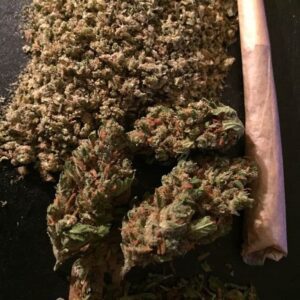 Buy Sensi Star Australia Sensi Star Cannabis Flower Premium Sensi Star Buds Sensi Star Australia Buy Sensi Star Online Indoor Sensi Star Flower Top Shelf Sensi Star Premium Cannabis Flower Australia