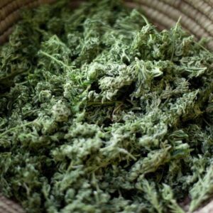 Buy Sexxpot Australia Sexxpot Cannabis Flower Premium Sexxpot Buds Sexxpot Australia Buy Sexxpot Online Indoor Sexxpot Flower Premium Cannabis Flower Australia Top Shelf Sexxpot