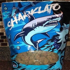 Buy Sharklato Runtz Australia