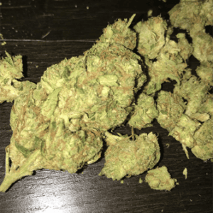 Buy Sour Diesel Australia Premium Cannabis Seeds Sour Diesel Seeds Australia Premium Sour Diesel Seeds Buy Sour Diesel Seeds Online Australia Authentic Sour Diesel Genetics